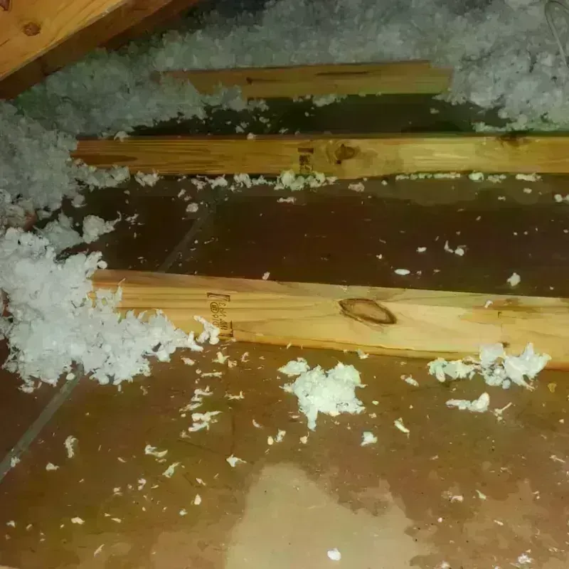 Attic Water Damage in Decatur, MI