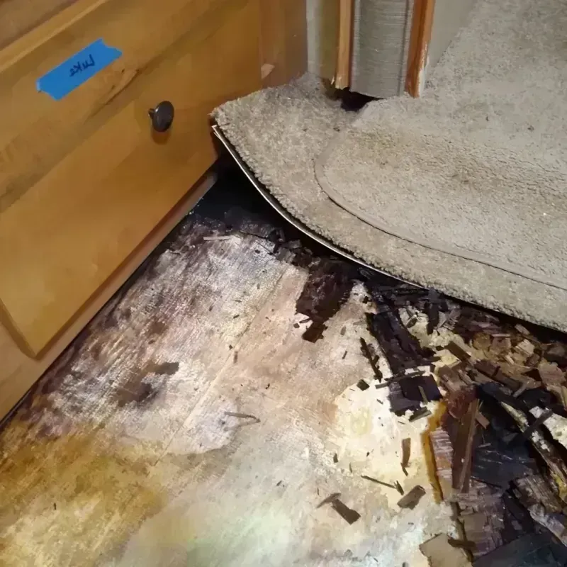 Wood Floor Water Damage in Decatur, MI